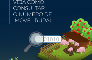 NIRF ou CIB: Veja como consultar o número de imóvel rural